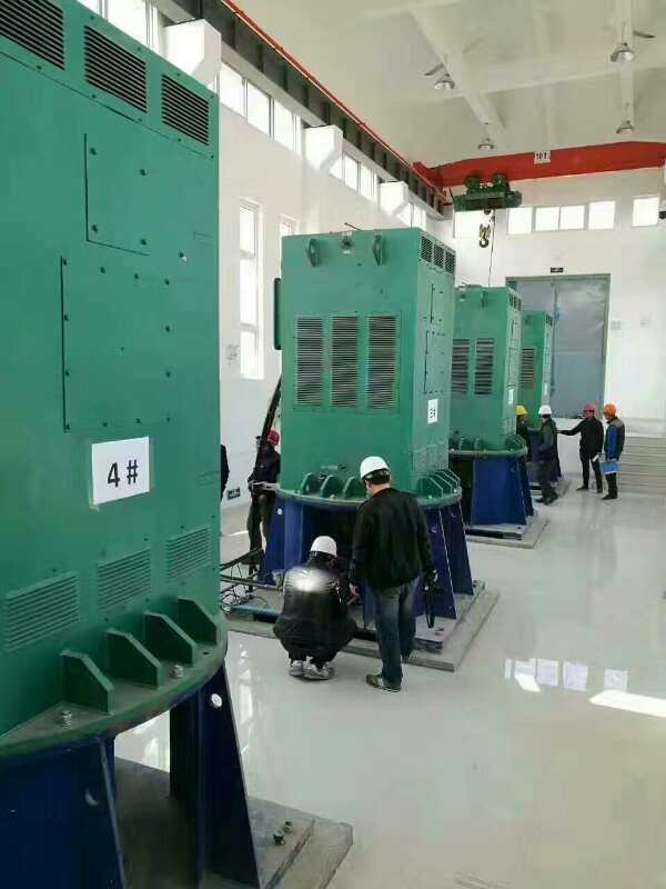 YKK5602-8某污水处理厂使用我厂的立式高压电机安装现场