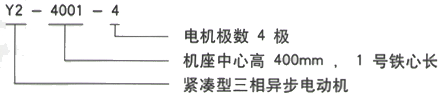 YR系列(H355-1000)高压YKK5602-8三相异步电机西安西玛电机型号说明